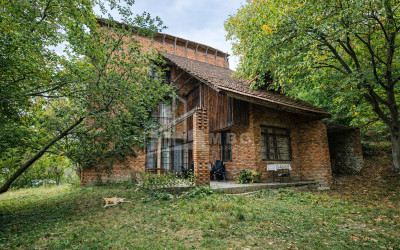 For Sale Old building House - Villa In Sagarejo