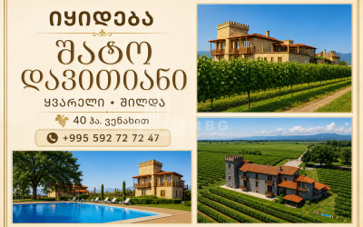 For Sale Chateau / Wine factory Commercial In the Kvareli City, Kvareli