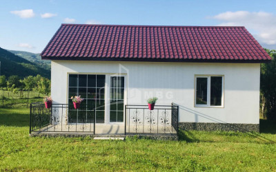 იყიდება სახლი - აგარაკი, არაგვისპირი