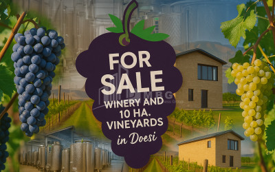 იყიდება კომერციული ფართი დოესი კასპი შიდა ქართლი