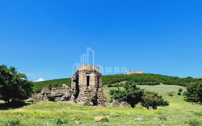 For Sale Land Pantiani Kaspi Shida Kartli