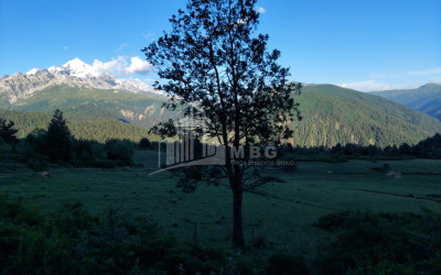 For Sale Land Tsvirmi Mestia Samegrelo   Upper Svaneti