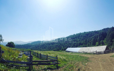 For Sale Agricultural Land, in Tsikhisjvari
