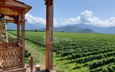 For Sale Commercial Kvareli City Kvareli Kakheti
