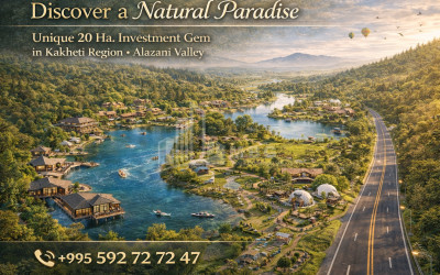 იყიდება კომერციული - არასასოფლო მიწის ნაკვეთი კახეთში