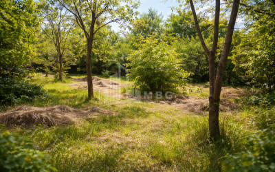 For-Sale-Land-Mchadijvari-village-Dusheti-Mtskheta---Mtianeti