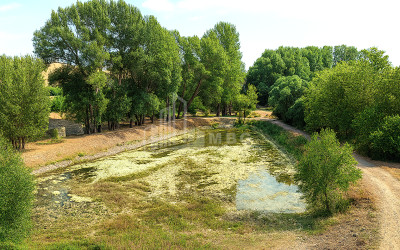 For Sale Land Kekhijvari Kareli Shida Kartli
