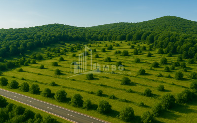 For Sale Land Cheremi Gurjaani Kakheti