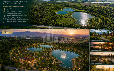 For Sale Commercial - universal Land In Kakheti