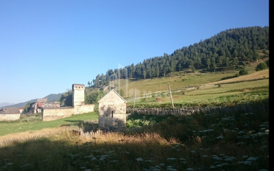 იყიდება სააგარაკე მიწის ნაკვეთი, წვირმი