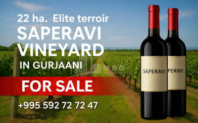 For Sale House Villa Tabakhmela Mtatsminda District Tbilisi