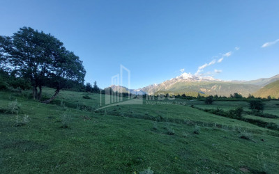 For Sale Land Tsvirmi Mestia Samegrelo   Upper Svaneti