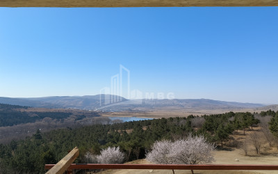 For Sale Flat Lisi Tsatskhvebi Street Saburtalo District Tbilisi