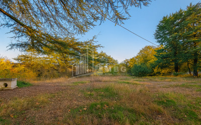 Продается Коммерческий Ахмета Кахети