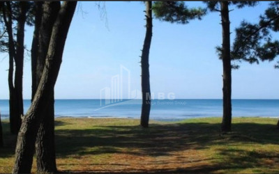 For Sale Land Daba Ureki Ozurgeti Municipalities of Guria