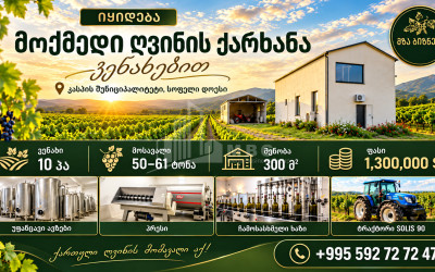 For Sale Chateau / Wine factory Commercial In Does, Kaspi