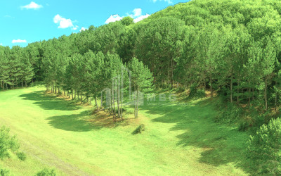 For Sale Land Daba Surami Khashuri Shida Kartli