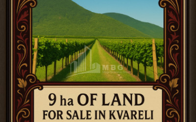 For Sale Land Kvareli Kakheti