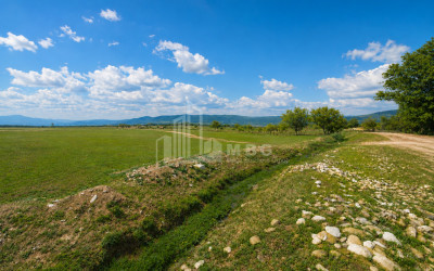 For Sale Vineyard - Chateau Land In Manavi, Sagarejo
