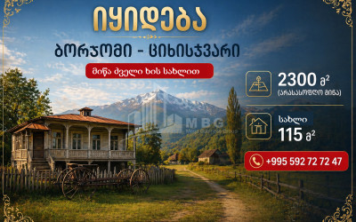 იყიდება სააგარაკე მიწის ნაკვეთი ციხისჯვარში, ბორჯომი