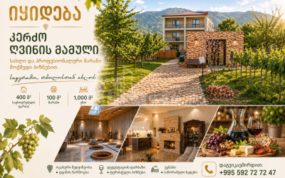 იყიდება შატო / ღვინის ქარხანა / მარანი კომერციული ფართი საგურამოში, მცხეთა