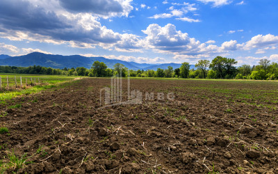 იყიდება სავენახე - საშატოე მიწის ნაკვეთი თელავში