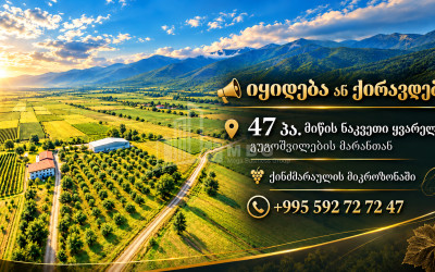For Sale Vineyard - Chateau Land In Kvareli