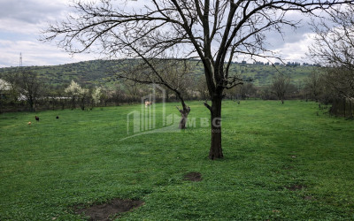 For Sale Old building House - Villa In Dzalisi, Mtskheta