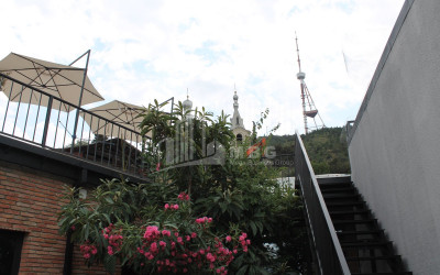 For Sale House - Villa, in Mtatsminda