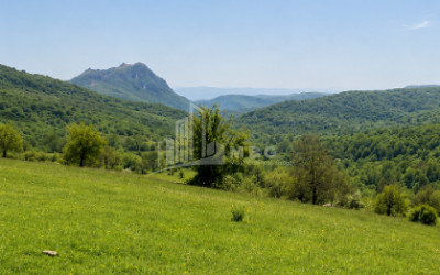 იყიდება სააგარაკე მიწის ნაკვეთი ორბეთში, თეთრიწყარო