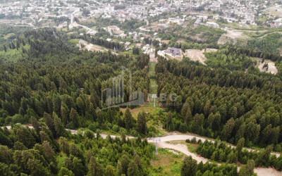 იყიდება მიწის ნაკვეთი ჰაწვალი მესტია სამეგრელო   ზემო სვანეთი