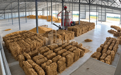 For Sale Production / warehousing space, Business yard Commercial In Nosiri, Senaki
