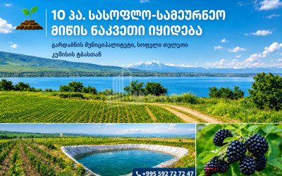 იყიდება ხეხილის ბაღი მიწის ნაკვეთი კუმისში, გარდაბნი