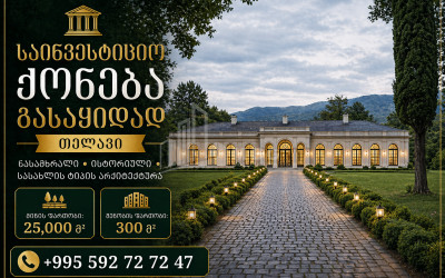 იყიდება შატო / ღვინის ქარხანა / მარანი კომერციული ფართი თელავში