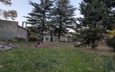 For Sale Commercial Akhmeta Kakheti