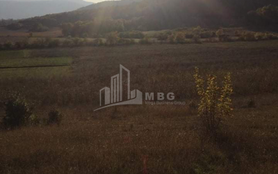 For Sale Vineyard - Chateau Land, in Matani