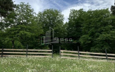 For Sale House - Villa, in Betania