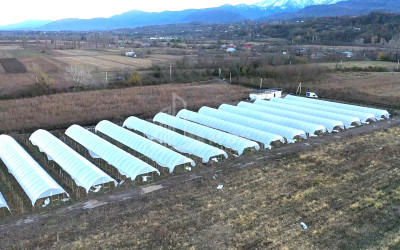 For Sale Land Vani Imereti