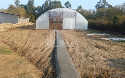 For Sale Land, Nosiri, Senaki, Samegrelo