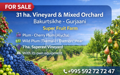 იყიდება ხეხილის ბაღი მიწის ნაკვეთი, ბაკურციხე