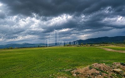 For Sale Vineyard - Chateau Land In Manavi, Sagarejo