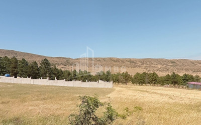 For Sale Land Lisi lake Saburtalo Saburtalo District Tbilisi