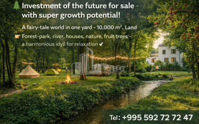 Business/Investment for Sale Leisure _ Entertainment complex Commercial In Telavi