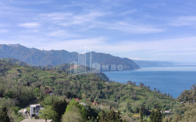 იყიდება კომერციული - არასასოფლო მიწის ნაკვეთი სარფში, ხელვაჩაური