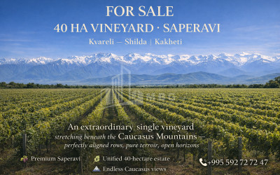 For-Sale-Land-Shilda-Kvareli-Kakheti