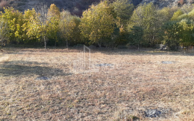 იყიდება მიწის ნაკვეთი აბასთუმანი ადიგენი სამცხე   ჯავახეთი