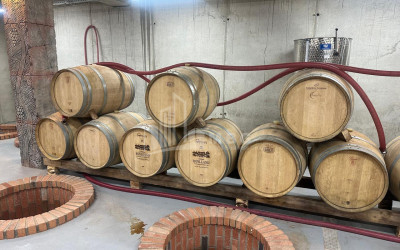 Продается Коммерческий Охио Ахмета Кахети