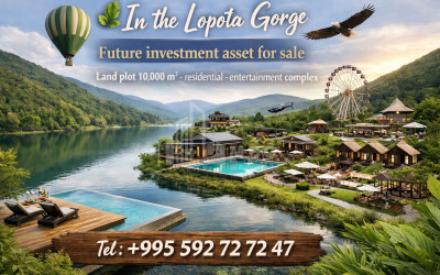 იყიდება ბიზნესი კომერციული ფართი თელავი კახეთი