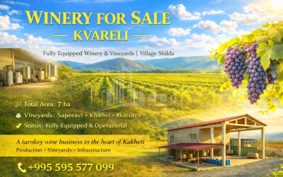 For Sale Orchards Land, in Senaki