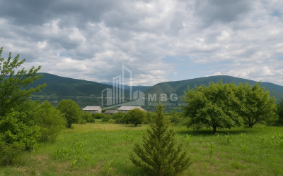 Продается Земля Ламискана Каспси Шида Картли
